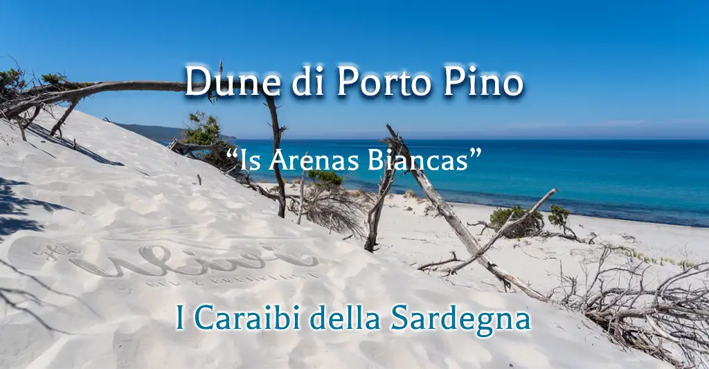 dune-porto-pino-is-arenas-biancas-caraibi-sardegna